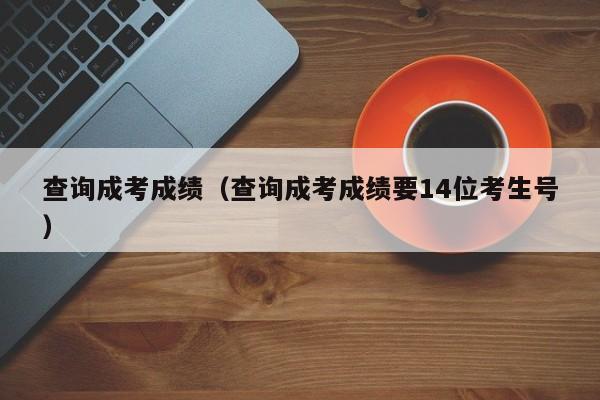 查询成考成绩（查询成考成绩要14位考生号）