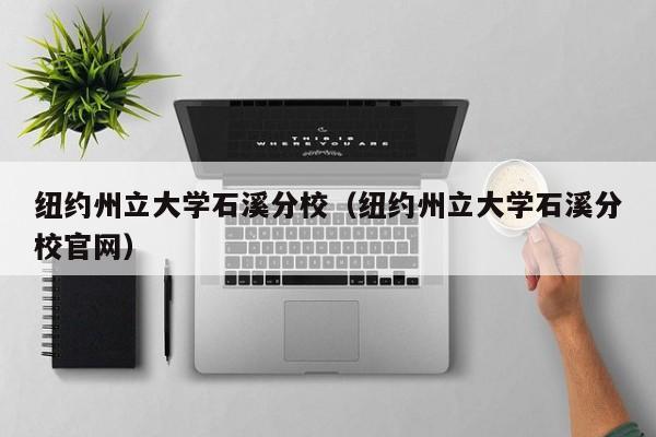 纽约州立大学石溪分校（纽约州立大学石溪分校官网）