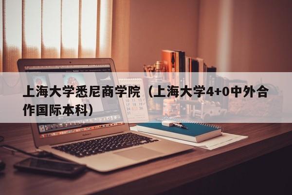 上海大学悉尼商学院（上海大学4+0中外合作国际本科）