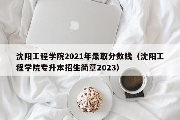 沈阳工程学院2021年录取分数线（沈阳工程学院专升本招生简章2023）