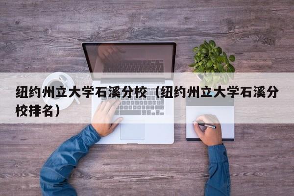 纽约州立大学石溪分校（纽约州立大学石溪分校排名）