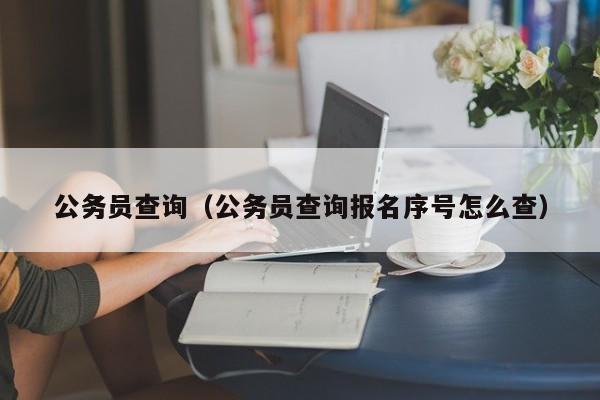 公务员查询（公务员查询报名序号怎么查）