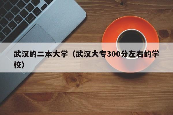 武汉的二本大学（武汉大专300分左右的学校）