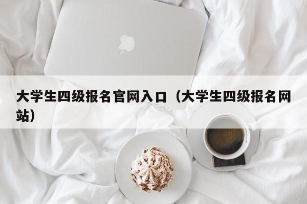 大学生四级报名官网入口（大学生四级报名网站）