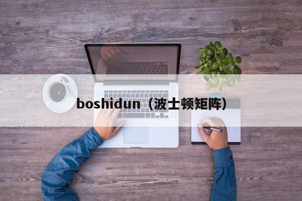 boshidun（波士顿矩阵）