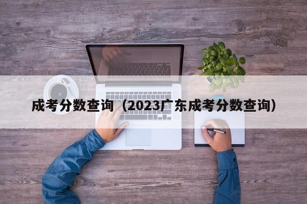 成考分数查询（2023广东成考分数查询）