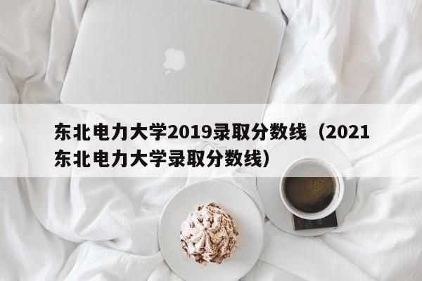 东北电力大学2019录取分数线（2021东北电力大学录取分数线）