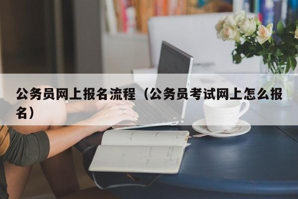 公务员网上报名流程（公务员考试网上怎么报名）