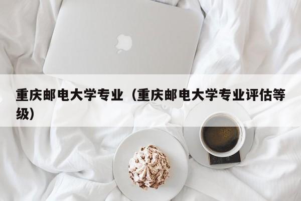 重庆邮电大学专业（重庆邮电大学专业评估等级）