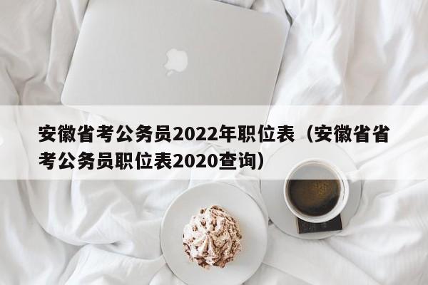 安徽省考公务员2022年职位表（安徽省省考公务员职位表2020查询）