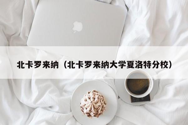 北卡罗来纳（北卡罗来纳大学夏洛特分校）