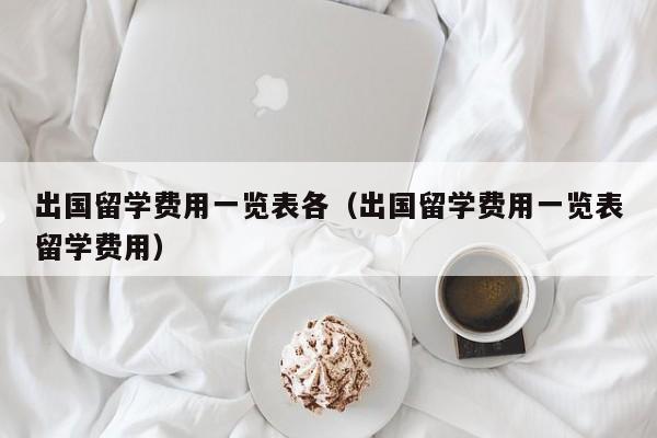 出国留学费用一览表各（出国留学费用一览表留学费用）