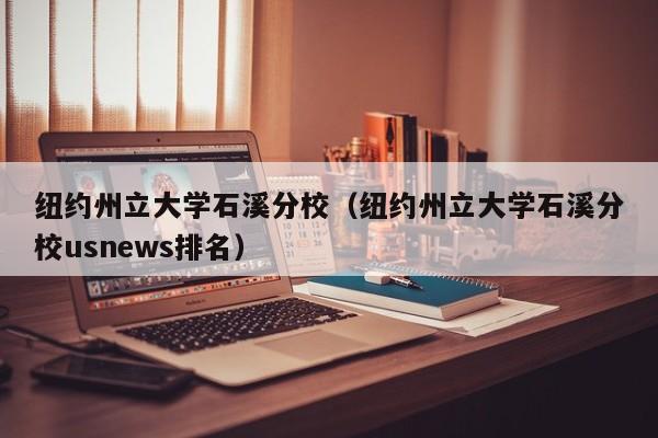 纽约州立大学石溪分校（纽约州立大学石溪分校usnews排名）