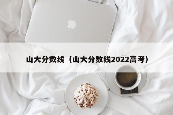 山大分数线（山大分数线2022高考）