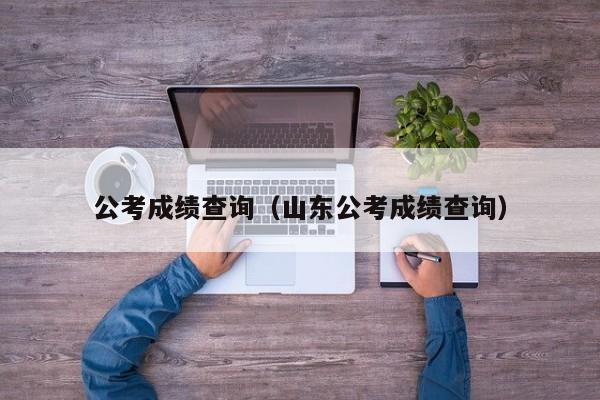 公考成绩查询（山东公考成绩查询）