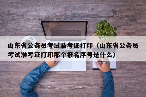 山东省公务员考试准考证打印（山东省公务员考试准考证打印那个报名序号是什么）