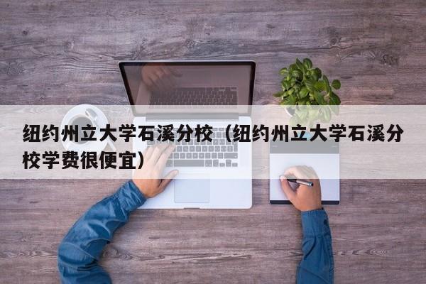 纽约州立大学石溪分校（纽约州立大学石溪分校学费很便宜）