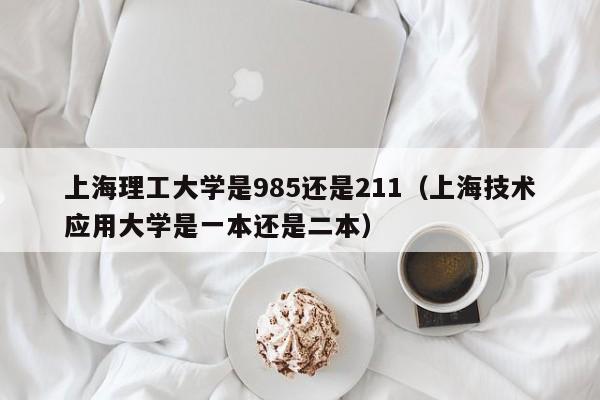 上海理工大学是985还是211（上海技术应用大学是一本还是二本）